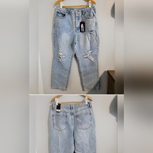 No boundaries size 17 lot